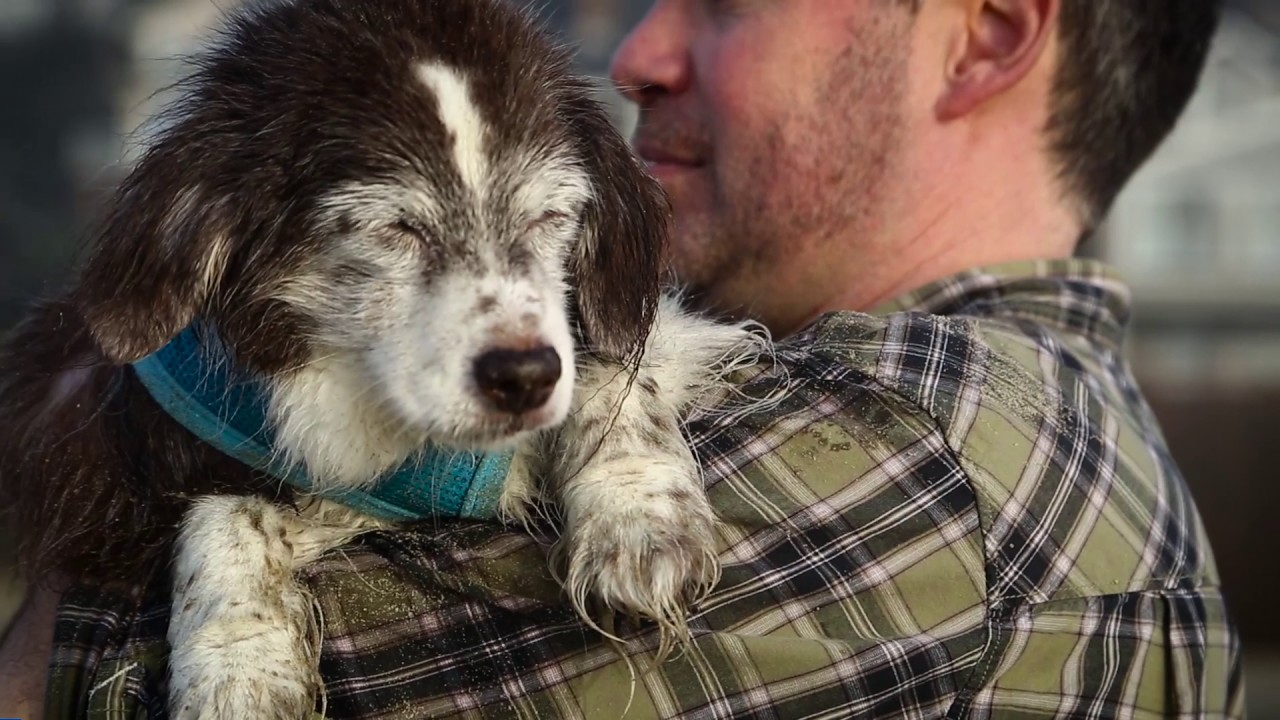 Unconditional Stories: Avery & Jenn