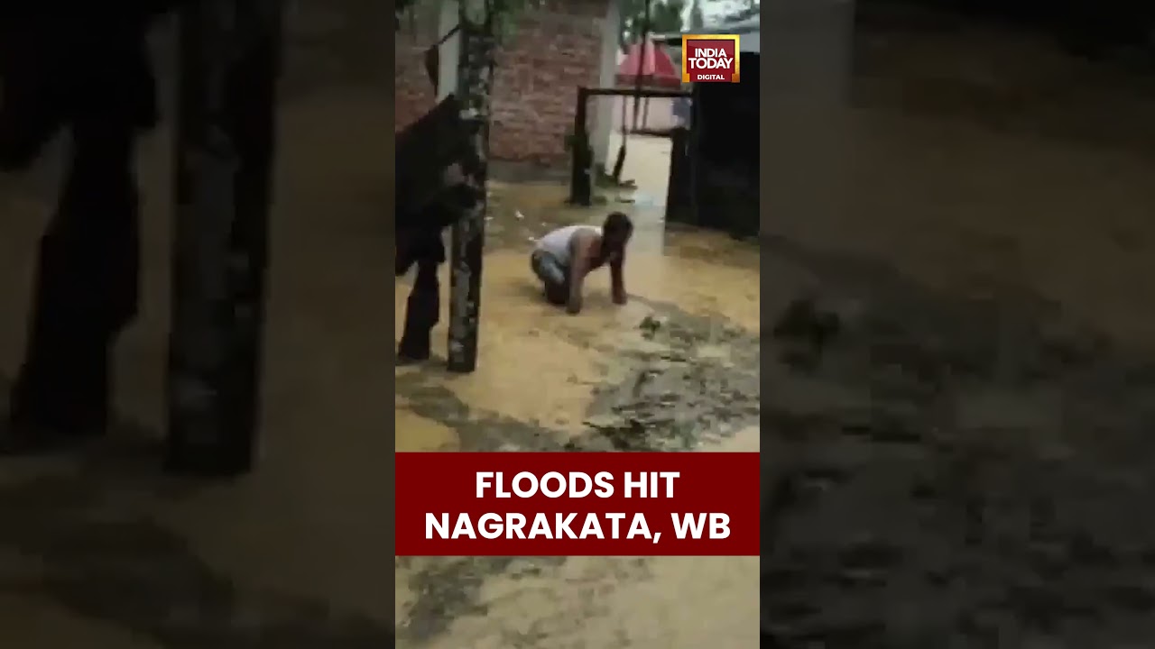 #Heavyrainfall triggers #flood situation in #Nagrakata, #Jalpaiguridistrict, #WestBengal | #shorts