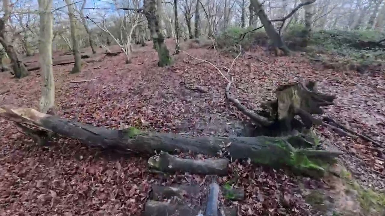 Poles wood trials day 18/01/26 part 3
