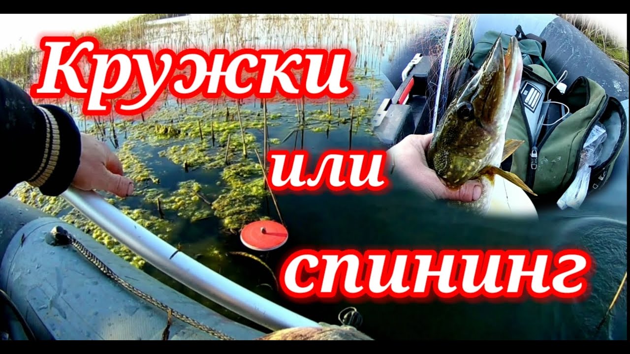 Кружки или спининг.Рыбалка на щуку.Шапсугское водохранилище.