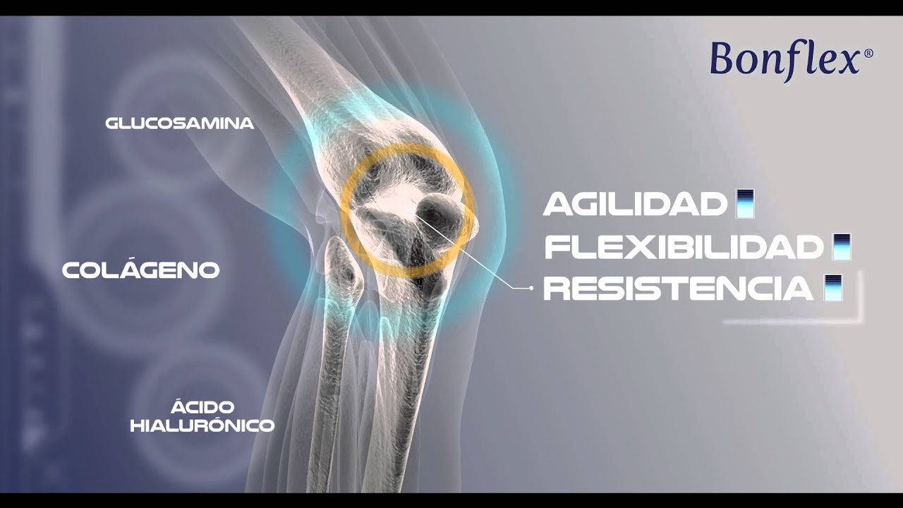 Spot Bonflex 2014