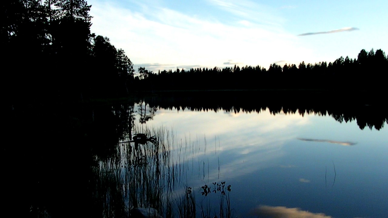 t&auml;nn&auml;s