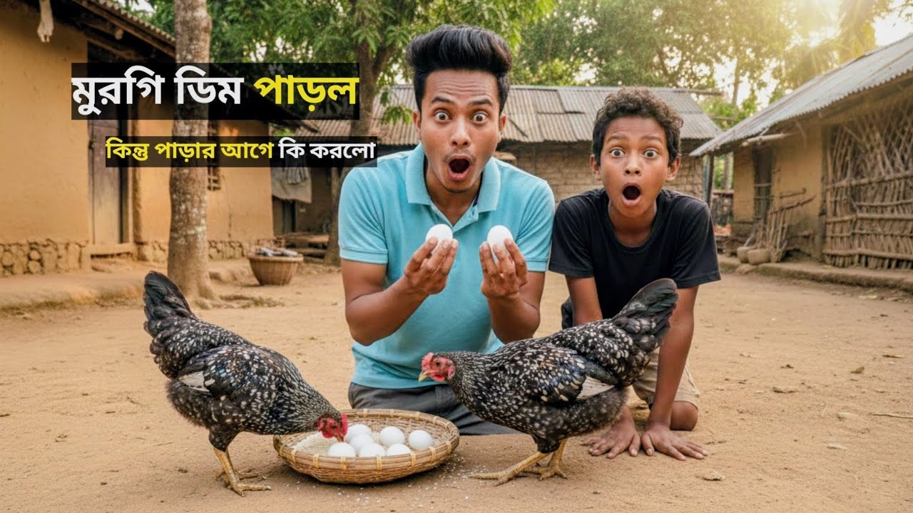 মুরগির ডিম পাড়ার বিরল দৃশ্য! 🐔🥚 দেখে সত্যিই ভালো লাগলো | Village Life | Rakib Vai Vlog