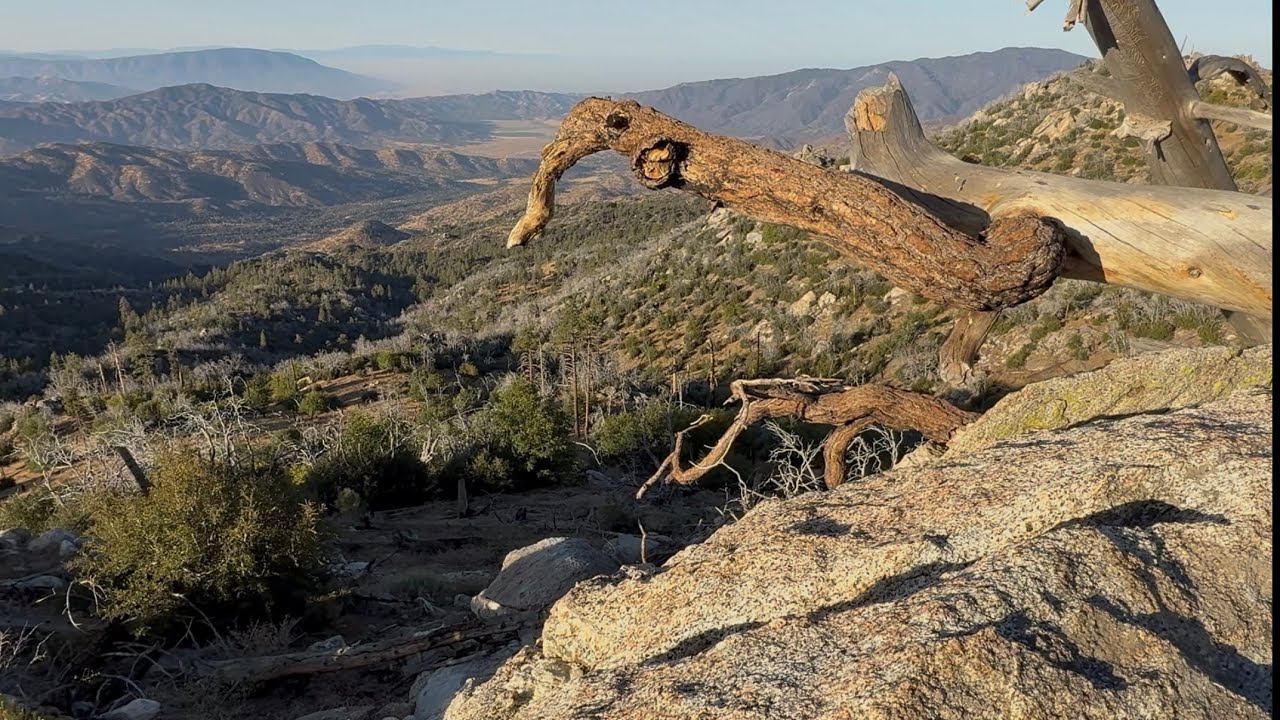 ASMR Real Hunting & Beautiful Views
