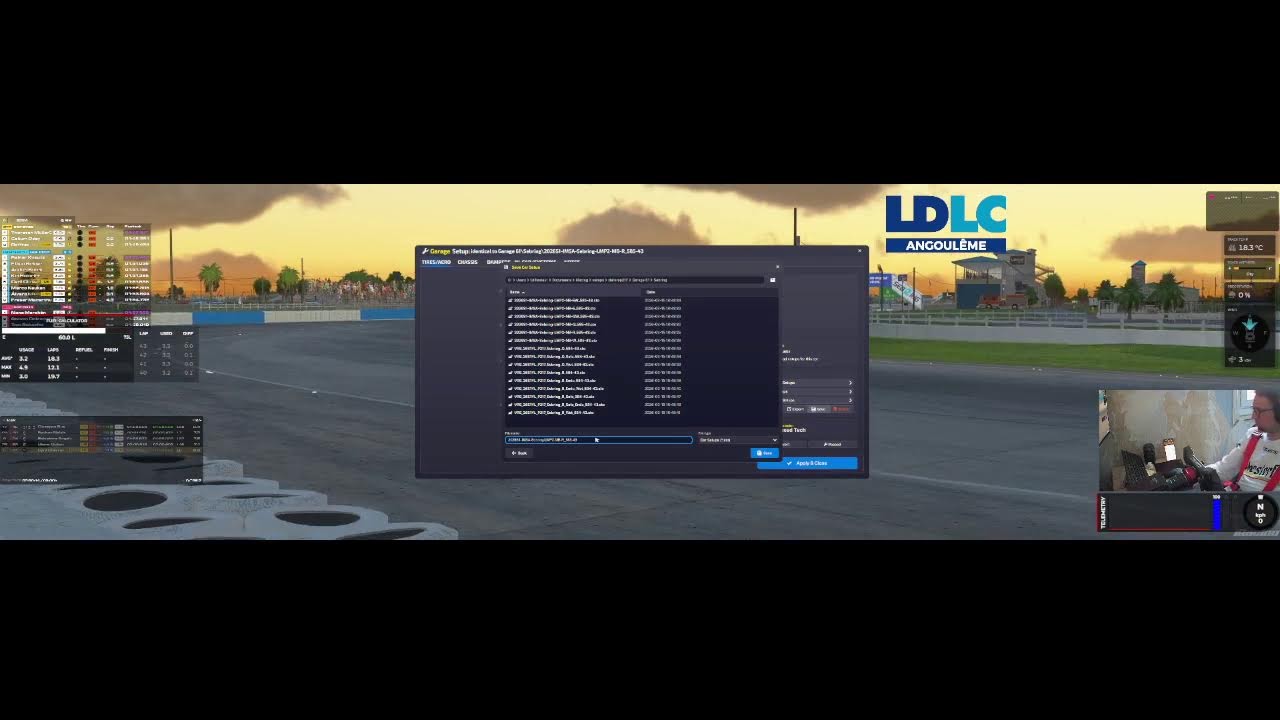 Entrainement Sebring Dallara P217