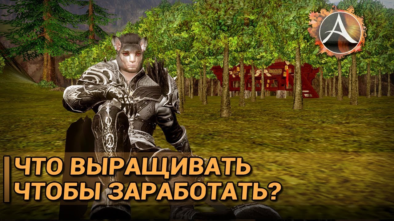 ArcheAge 5.7. Что выращивать чтобы заработать?