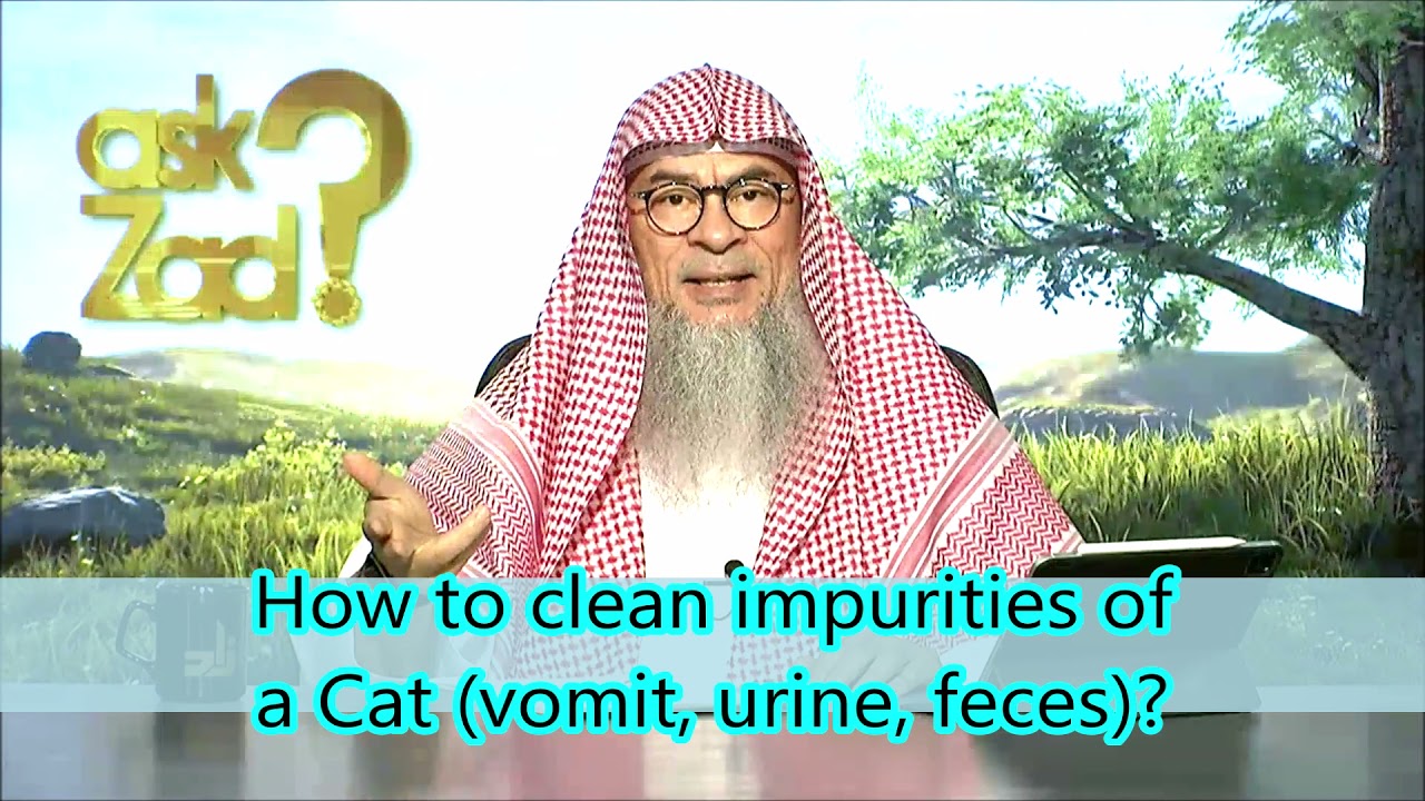 How to clean impurities of a Cat vomit, urine, feces? assimalhakeem -JAL