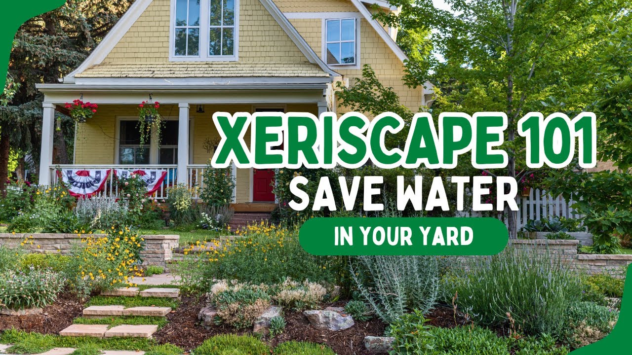 Xeriscape 101: A Beginner’s Guide to Waterwise Landscaping