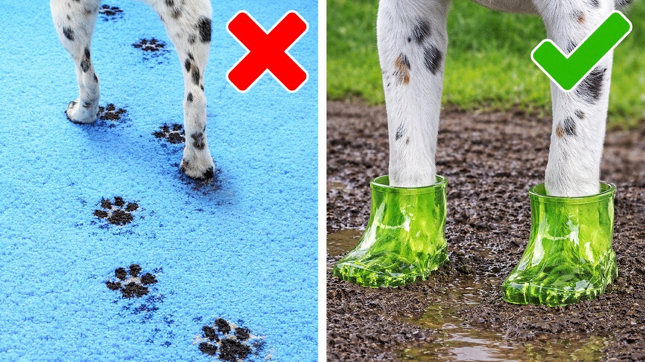 Ultimate Pet Owner Hacks: Brilliant DIY Solutions for a Cleaner Happier Home