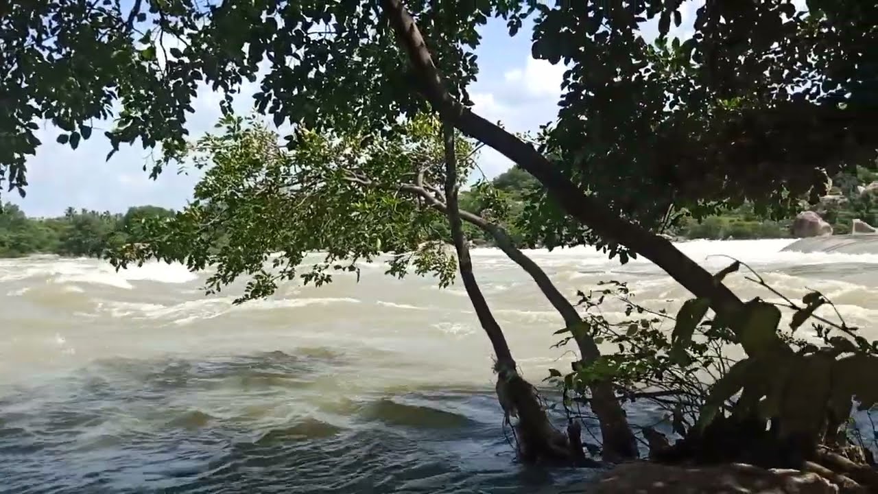 tungabhadra river #travel #history #river#water#viral #viralvideo #viralshorts 2025#viralshorts