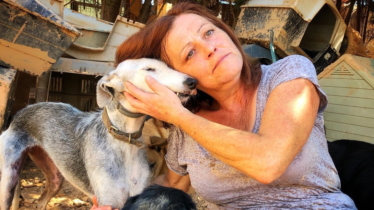 WOMAN RISKS HER LIFE TO SAVE HUNDREDS OF DOGS FROM THE FLOODS!!!