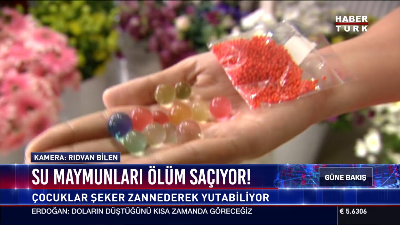 Su maymunları ölüm saçıyor!