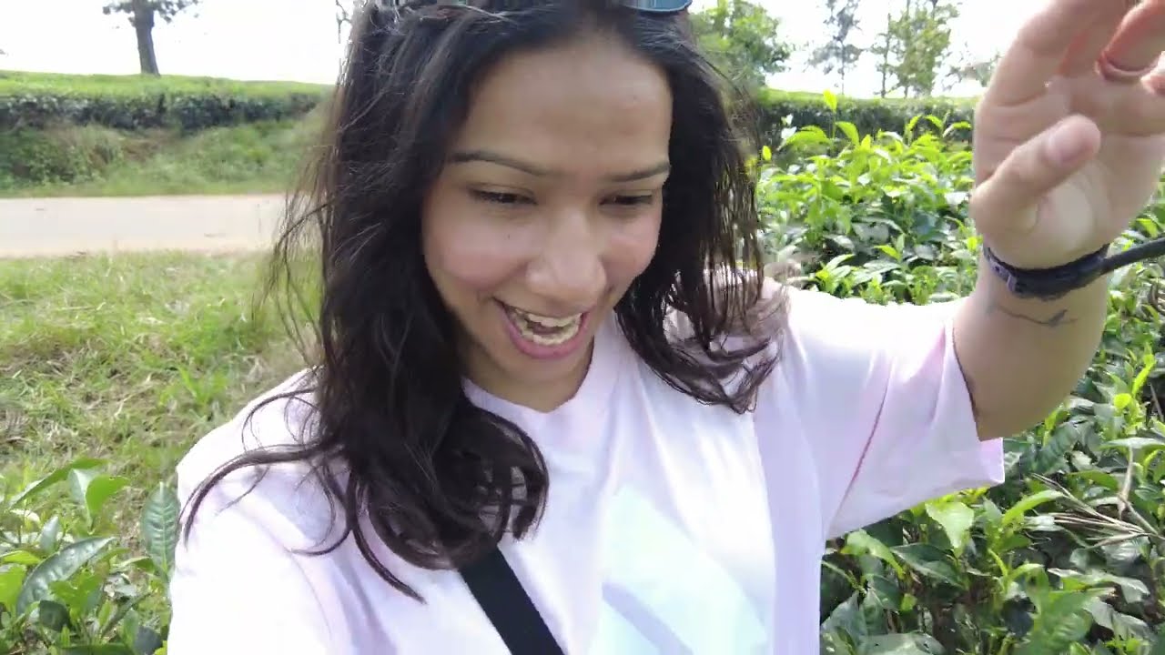 Wayanad's Verdant Beauty: Tea Garden Exploration in 4K | Kerala's Socialist Charm