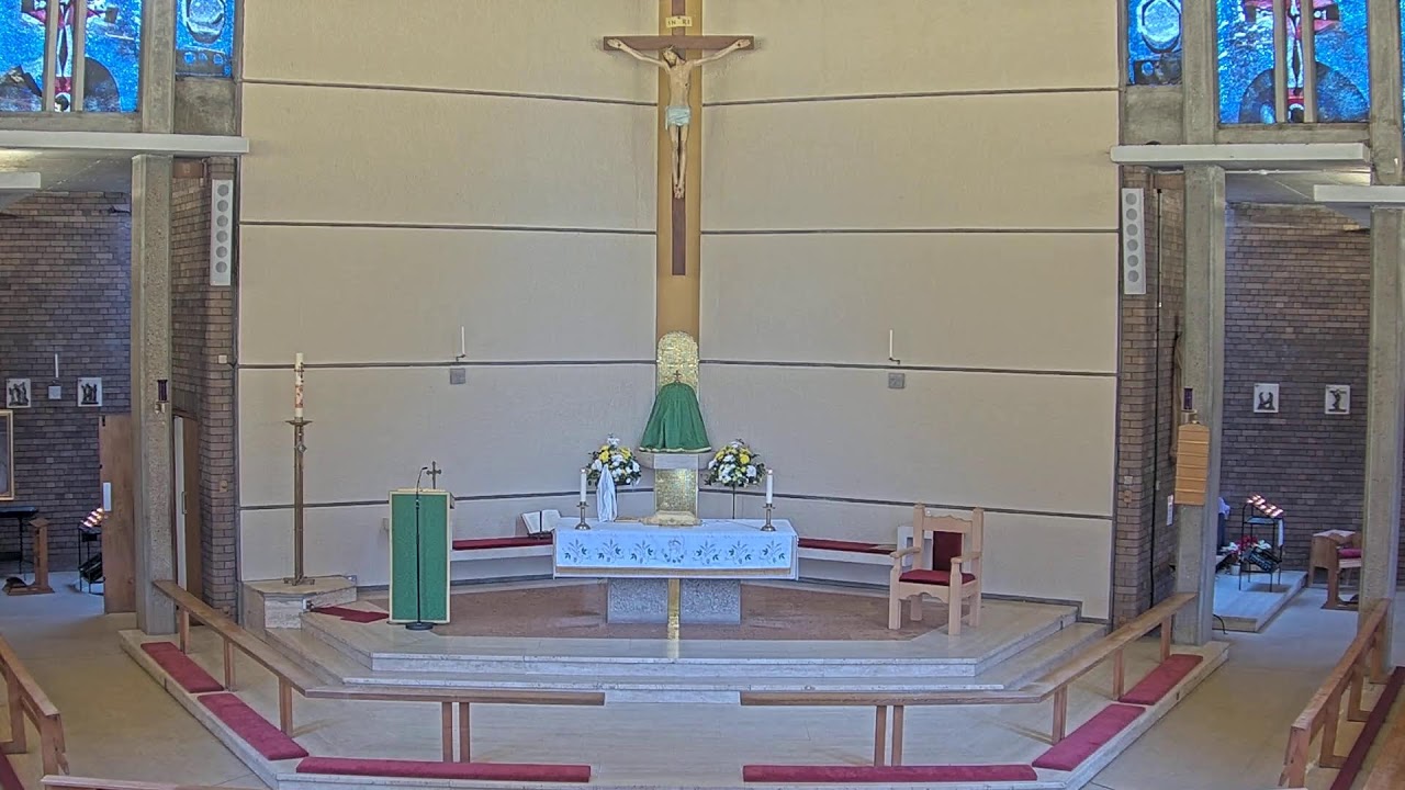 Holy Mass (8.2.2026) | St Thomas More, Sheldon