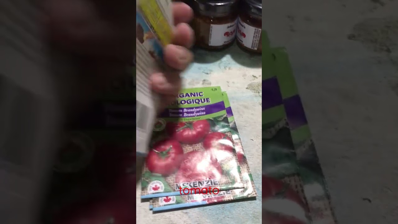tomato seed | kamatis | pomodoro