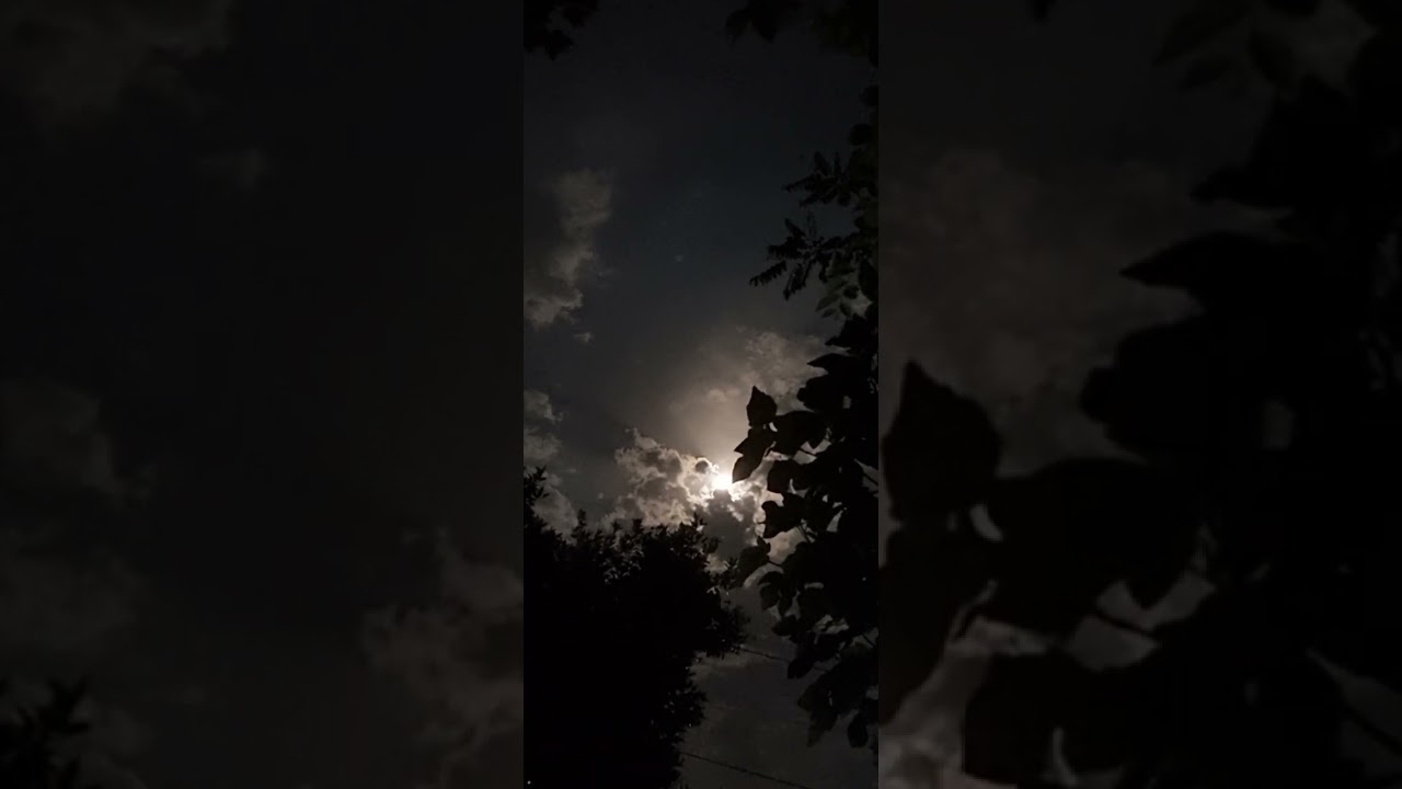 Nocturne (Shabdiz)/ Composer: Sam Esfahani