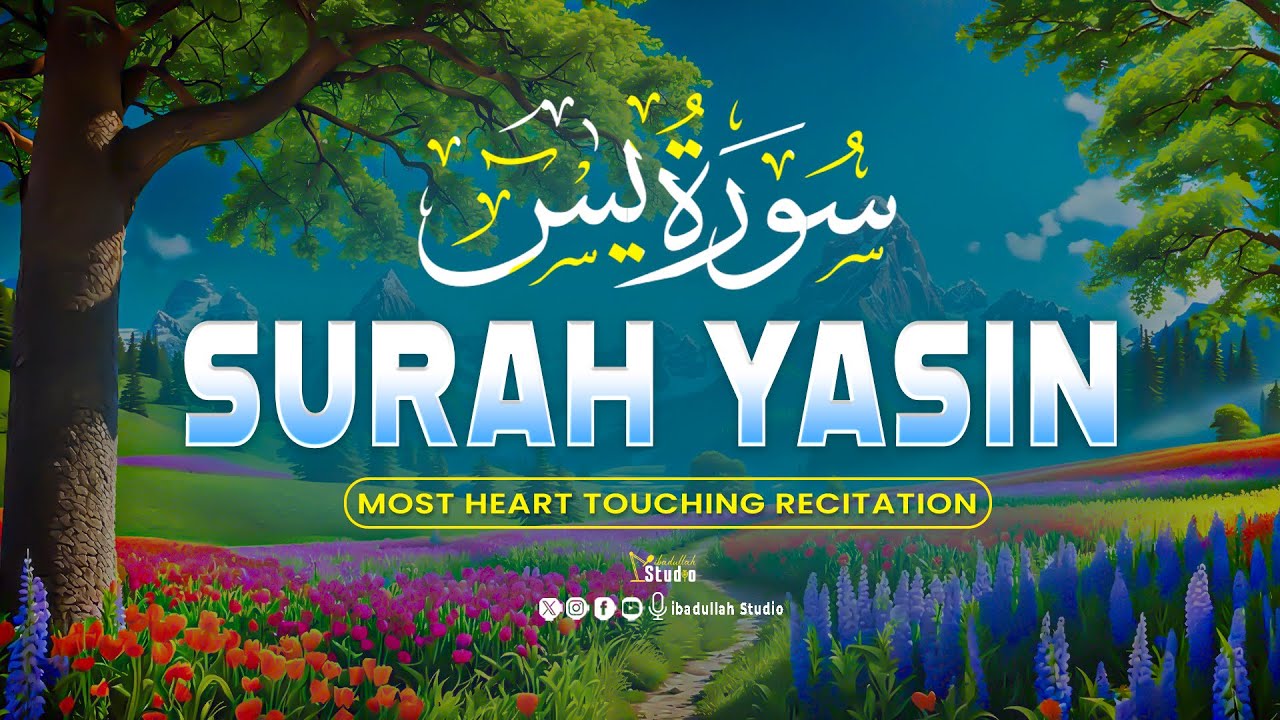 Surah Yaseen سورة يس | Soothing Quran Recitation to Ease Anxiety & Relax the Heart 