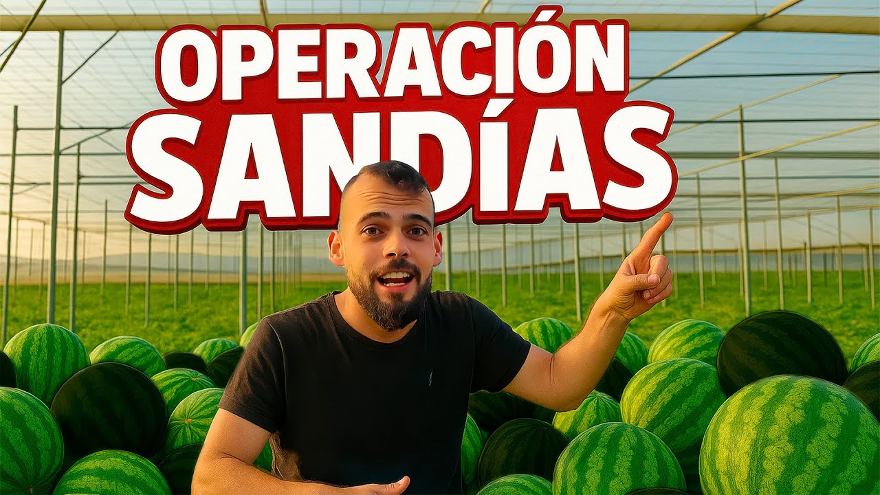 Así es un CORTE de SANDÍAS en ALMERÍA: todos los pasos y ÚLTIMOS ABONADOS.