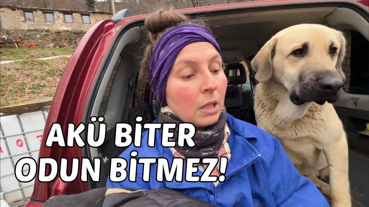 Devrilen Ağaca Giriştik! 135. bölüm