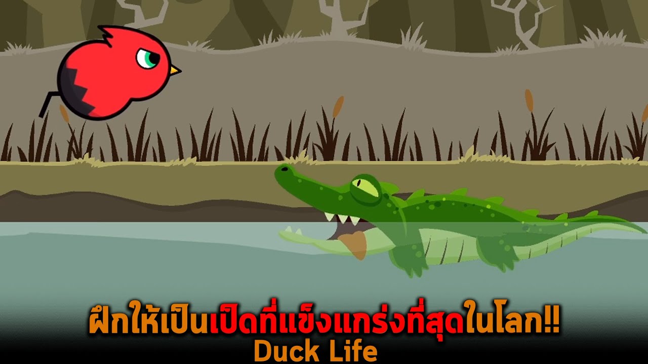 ฝึกให้เป็นเป็ดที่แข็งแกร่งที่สุดในโลก Duck Life