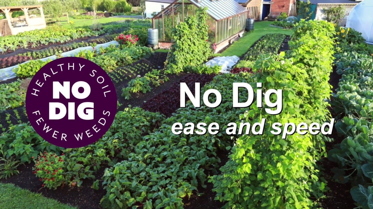 No dig, easy and speedy!