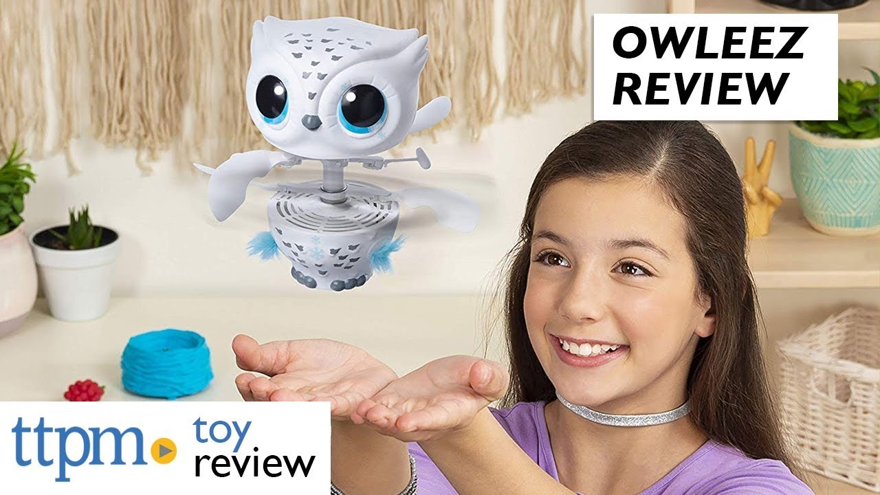 Owleez Flying Radio Control Owl Review from Spin Master
