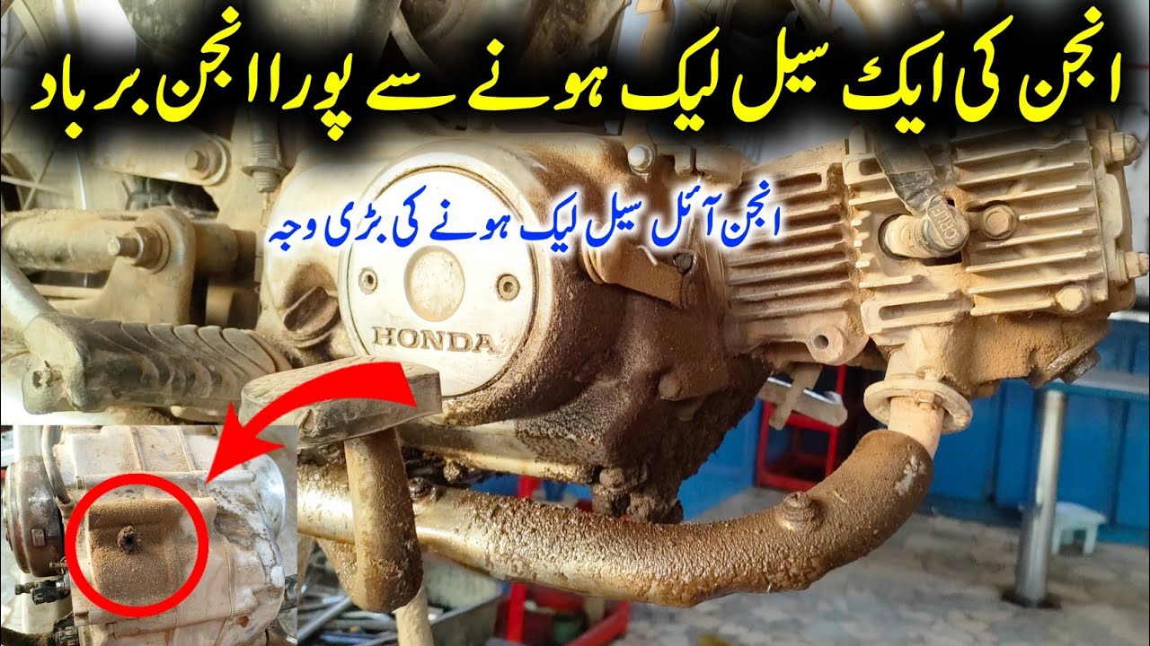 Bike Engine Oil Leakage Problem Solve
