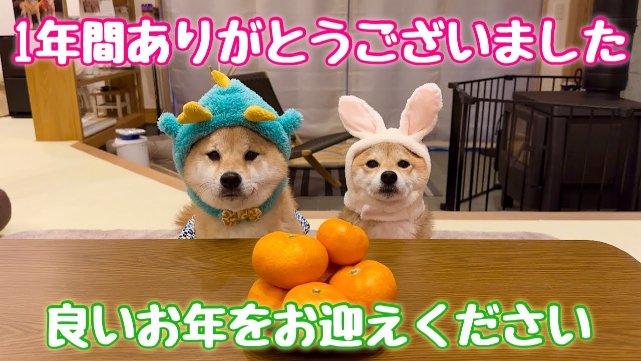 今年も1年ありがとうございました！