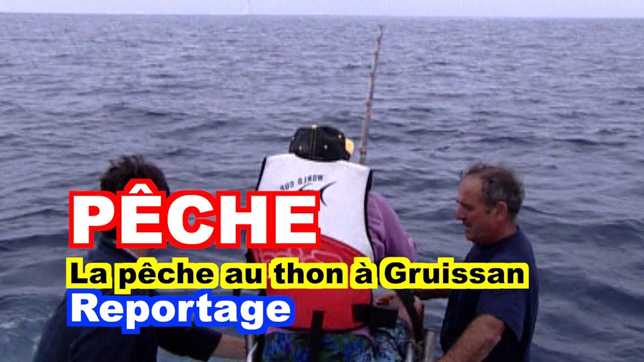 PÊCHE: La pêche au thon à Gruissan (HD)