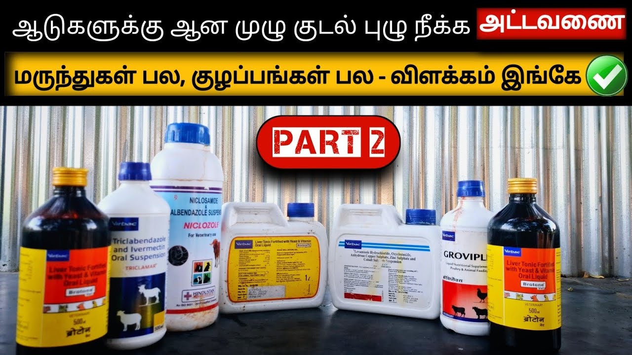 💢ஆடுகளுக்கு மண்டை வீக்கம் வந்தால் அதன் உயிரை காப்பாற்றுவது எப்படி? ✅#sheep #goatfarm #trending