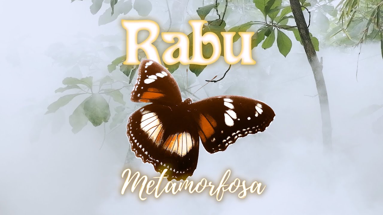Rabu - Metamorfosa (Official Music Video)