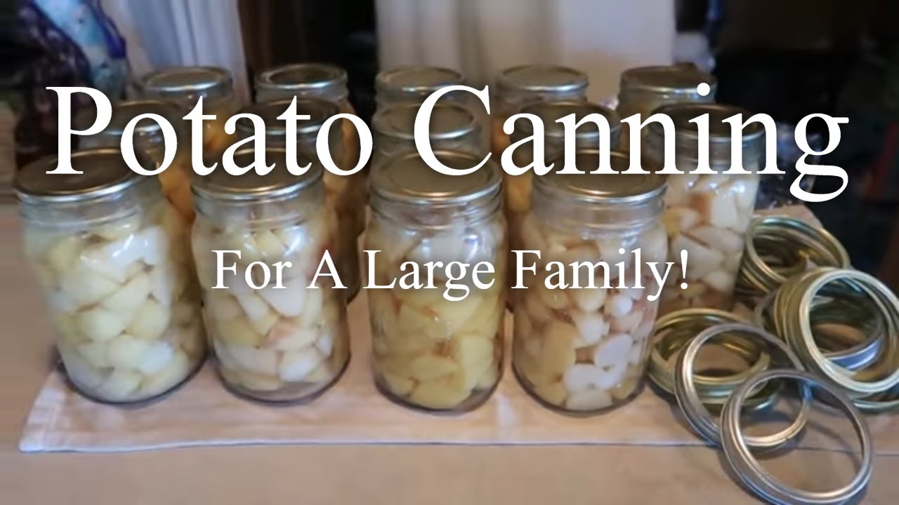 Sustainable Potatoes Year-Round For A Large Family!
