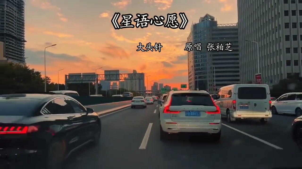 大头针 翻唱 - 星语心愿
