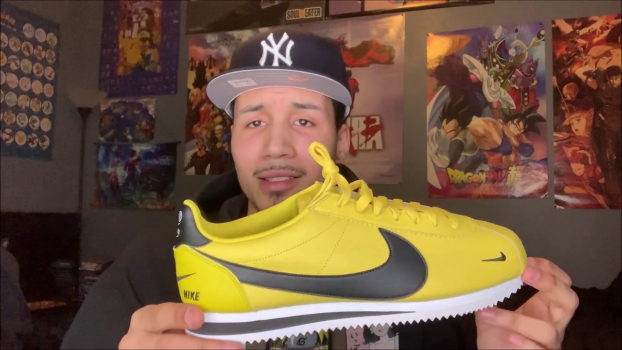 Blazing Sun Cortez Review