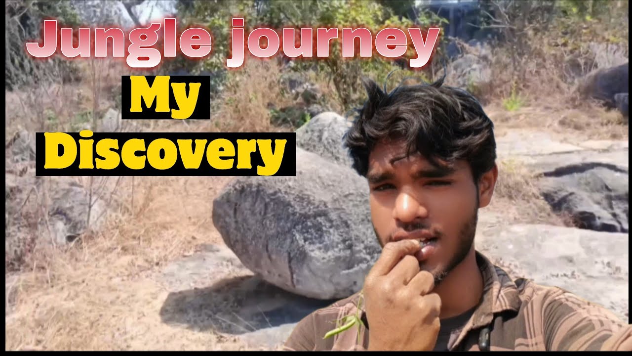 Wild Life Experience