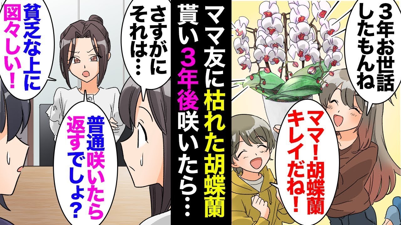 ママ友の家で捨てられそうな枯れた胡蝶蘭を見つけ、「捨てるつもりなら、私に譲っていただけませんか？」と尋ねると、「そのゴミが欲しいの？ 貧乏くさいね…どうぞ」と言われ、持ち帰って3年かけて大切に育てた…