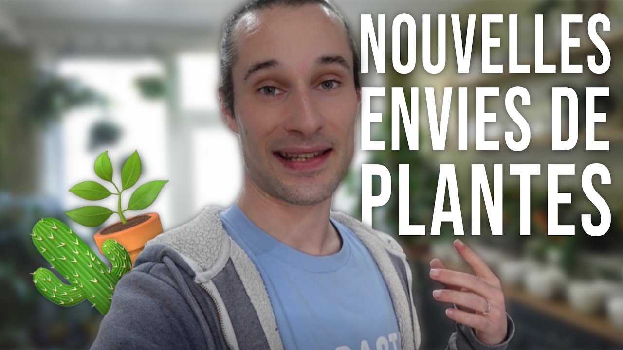 Weekly vlog #99: Haul arrivage & mes nouvelles envies de plantes 🪴
