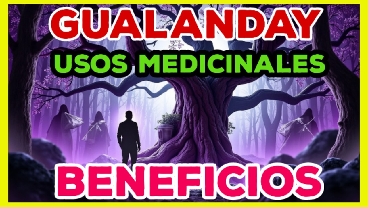 Que es GUALANDAY?