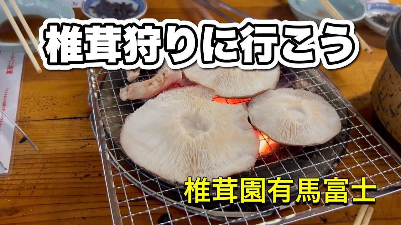 椎茸狩りに挑戦！