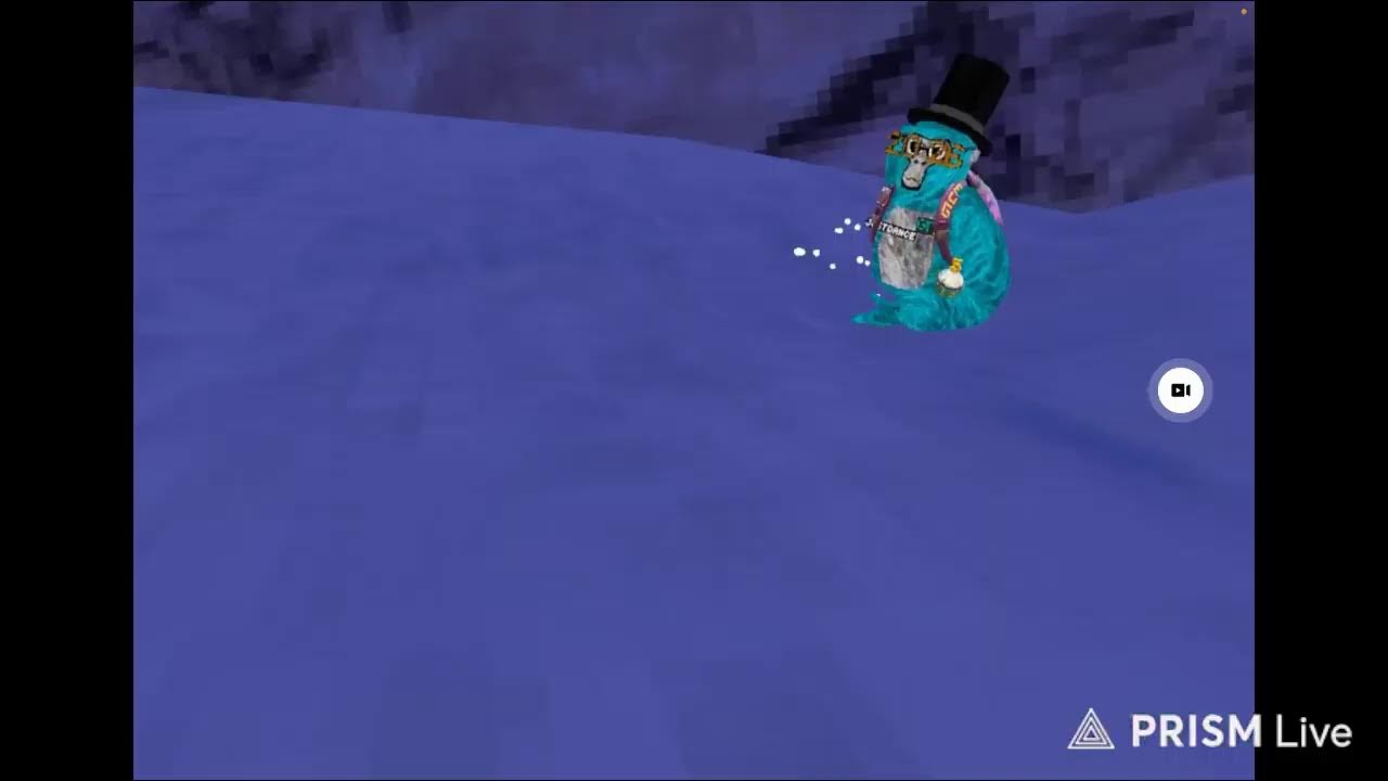 Playing gtag with fans