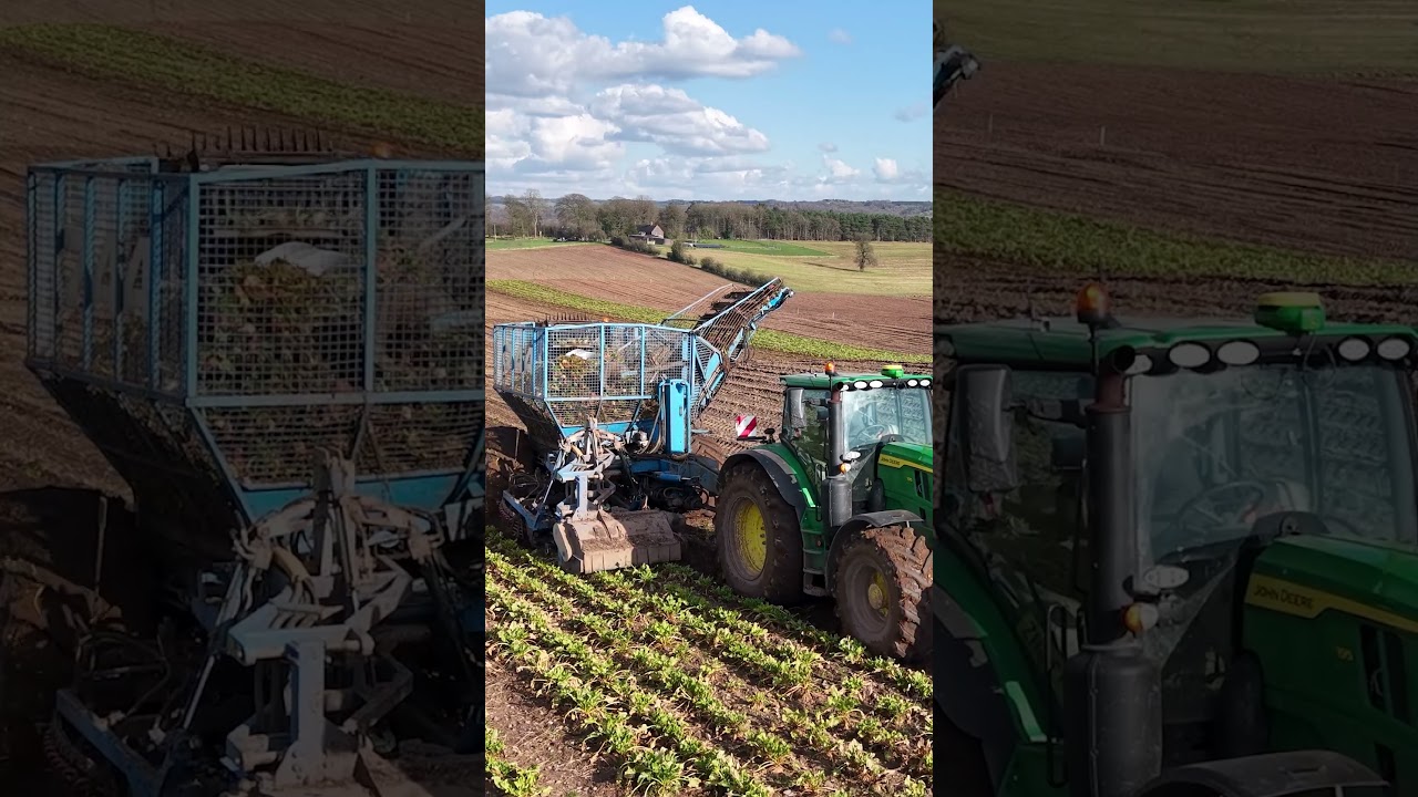 Don't miss tomorrow night's video to discover more about this Edenhall beet harvester! 🤩