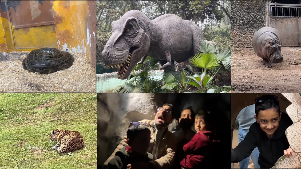 Chhatbir Zoo Chandigarh II #funny #dailyvideo #himachal #baddi #chandigarh