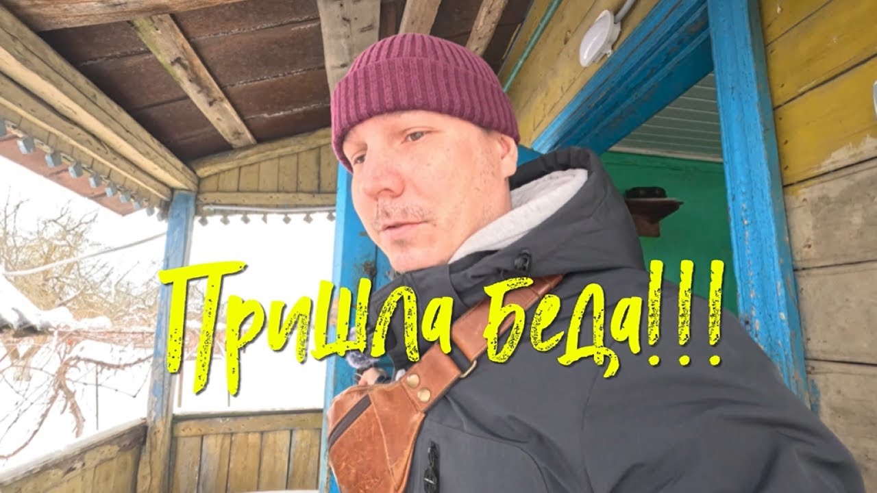 Пришла беда. #Дом. #Покупки. #Беда.