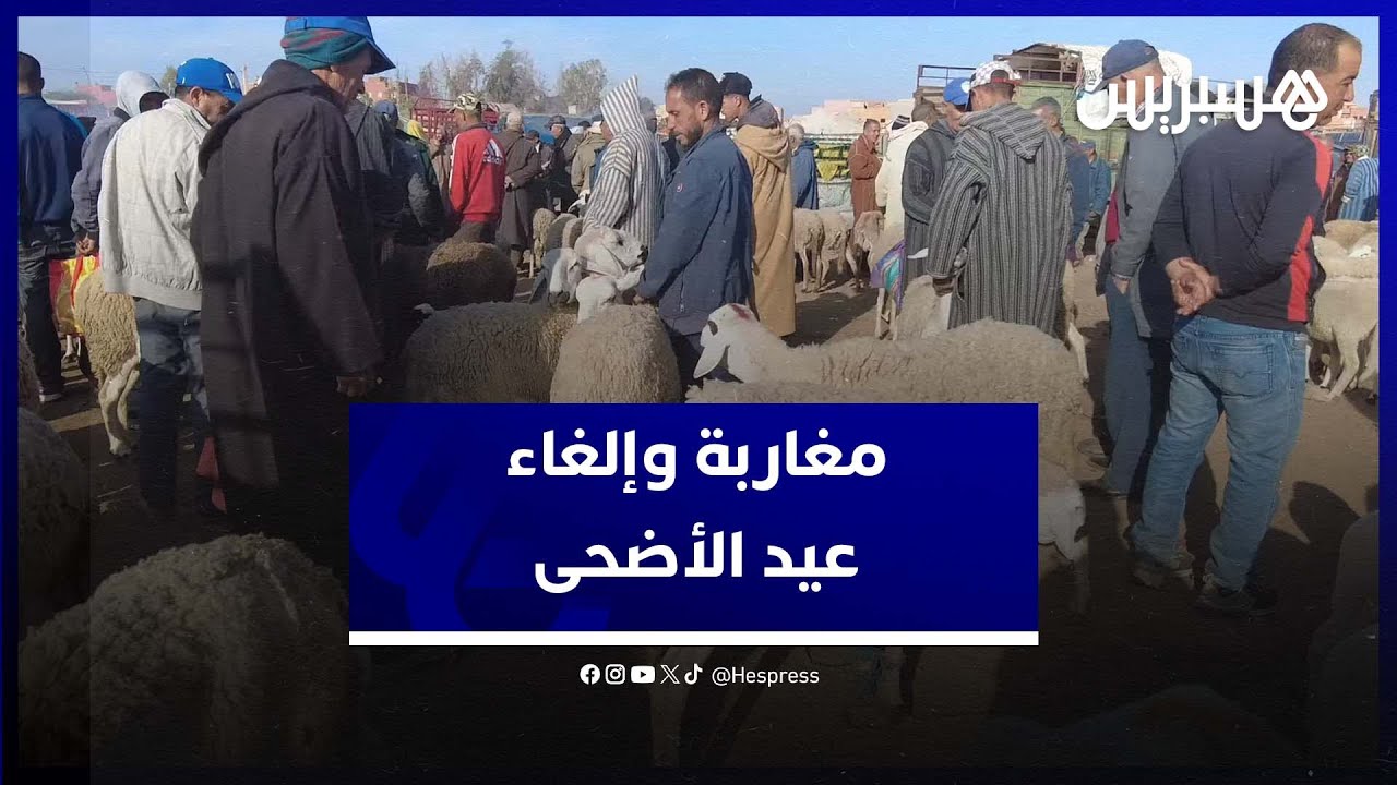 بسبب الغلاء .. مواطنون وكسابة من جبال بني ملال يطالبون بإلغاء عيد الأضحى