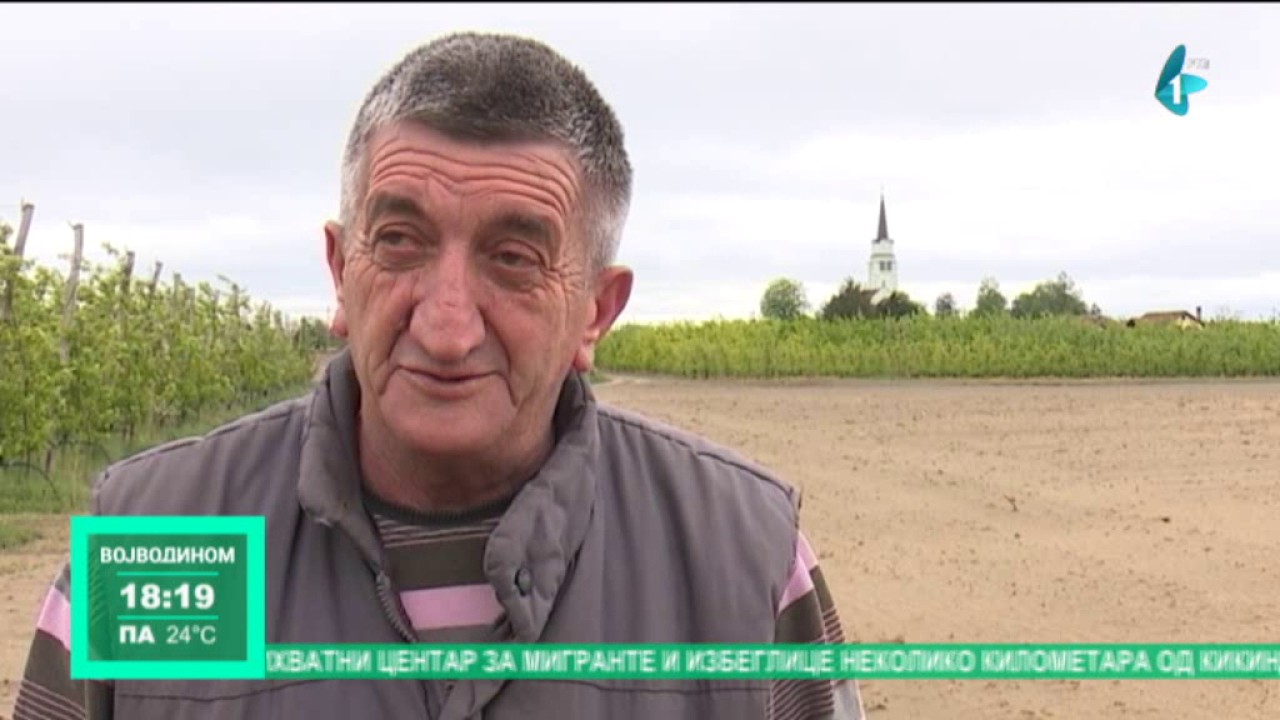 Ravničarenje: Bački Vinogradi