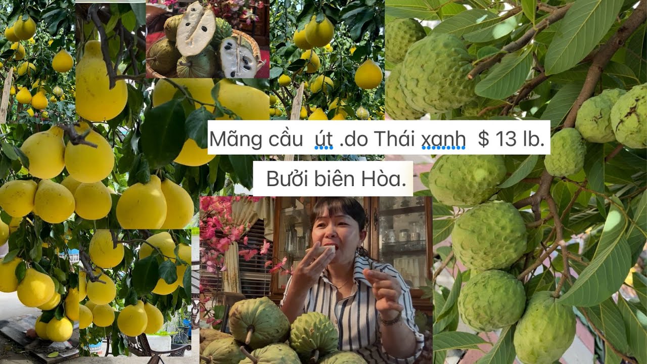Mãng cầu  út .do Thái xanh  $ 13 lb.Bưởi biên Hòa. Đt:626-542-5088 anh Hải ❤️🥰# 688