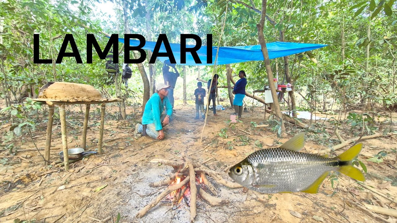 PESCARIA RAIZ  e LAMBARI frito no fogão de barro e uma comida perceita 