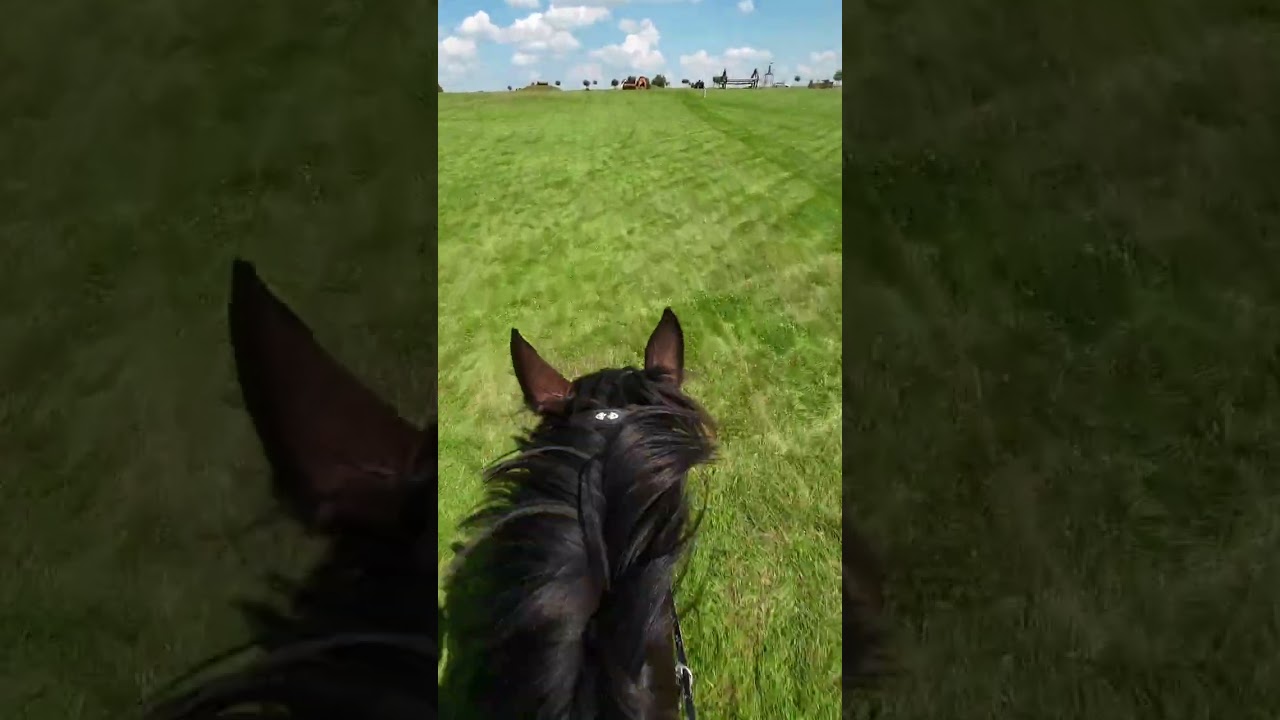 Hot Ninetta CCI2*-S Strzegom summer 2025