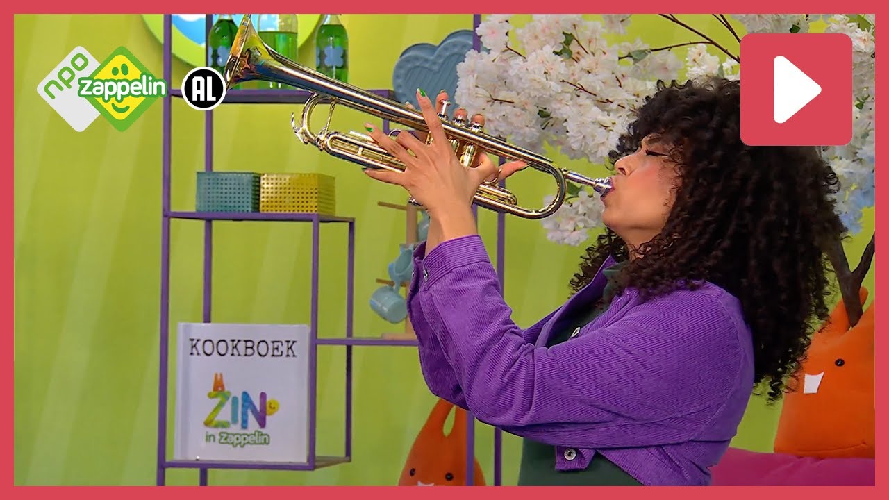 DAAR ZIT MUZIEK IN | Zin in Zappelin | NPO Zappelin
