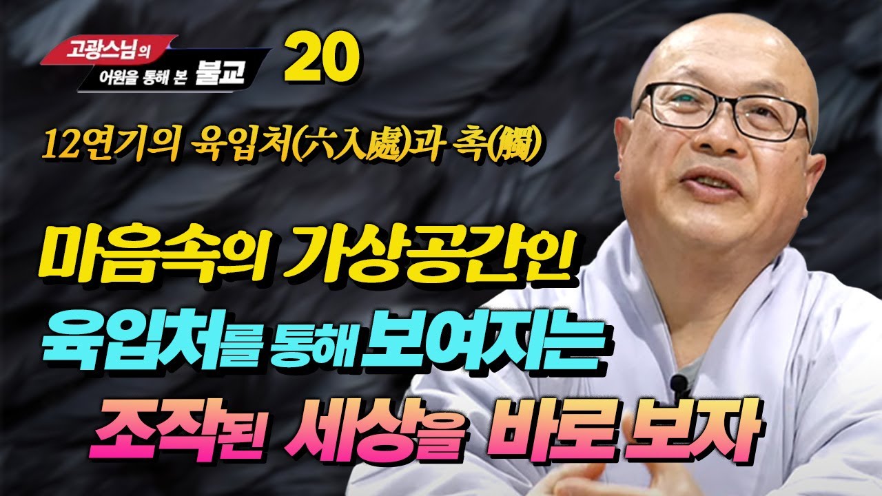 [고광스님 20강] 12연기 중 육입처와 촉 : 우리 마음속의 가상공간 육입처 (어원으로 보는 불교)
